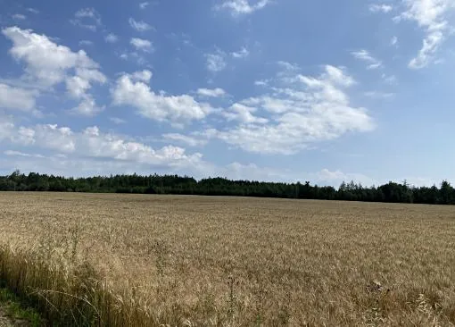 Fotka 18 z 18